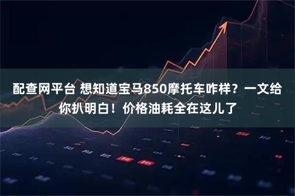 配查网平台 想知道宝马850摩托车咋样？一文给你扒明白！价格油耗全在这儿了