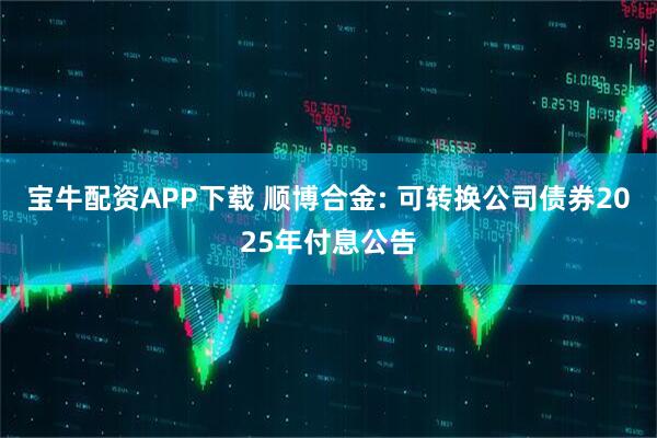 宝牛配资APP下载 顺博合金: 可转换公司债券2025年付息公告